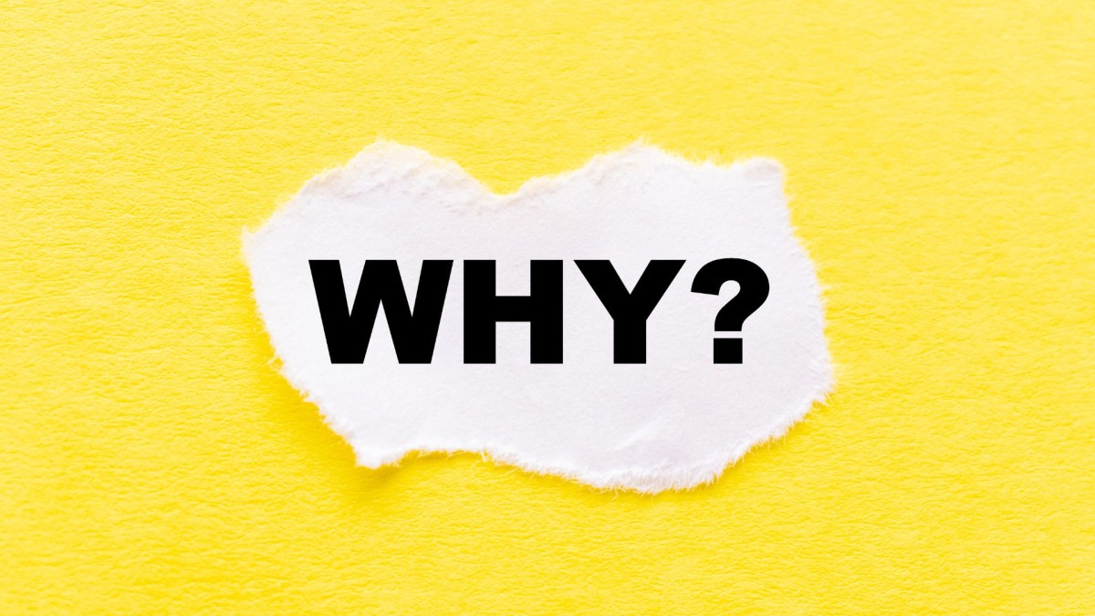 Why You Need