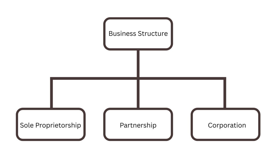 Business Structure