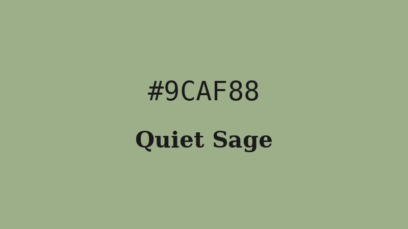 Quiet Sage #9CAF88 slow-luxury color used by Loro Piana, Celine, and Aesop for wellness and sustainable cashmere branding