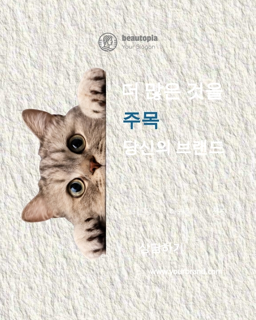 애완동물 미용 인스타그램 게시물 템플릿
