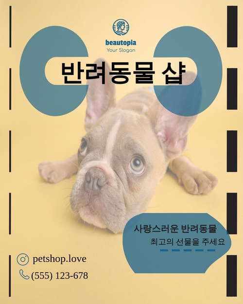 애완동물 미용 인스타그램 게시물 템플릿