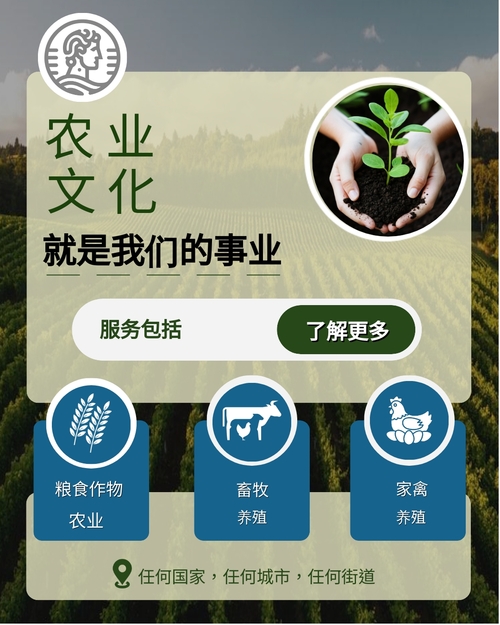 筹款活动 Instagram 帖子模板