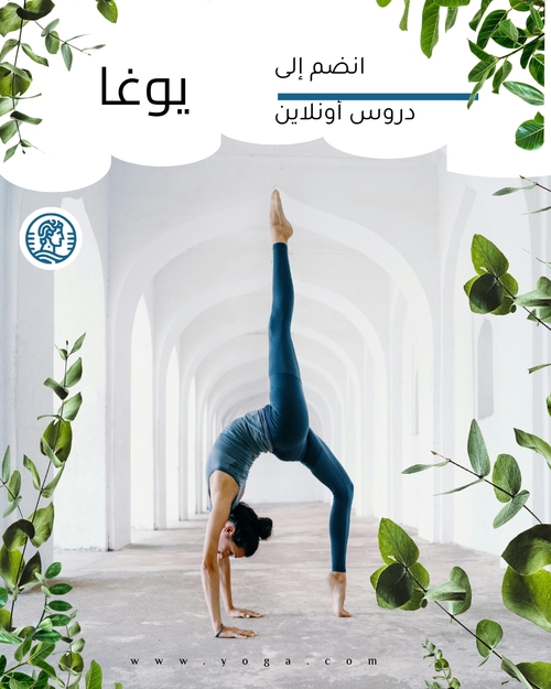 قالب منشور إنستغرام التدريب