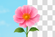 background remover