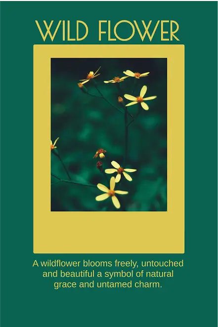 Plantilla de diseño de póster con flores silvestres y fotografía floral amarilla