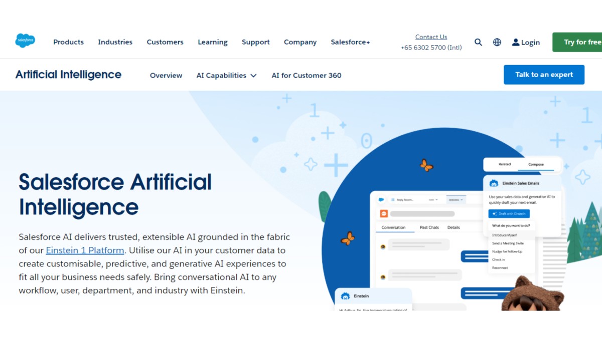 Sales force interface